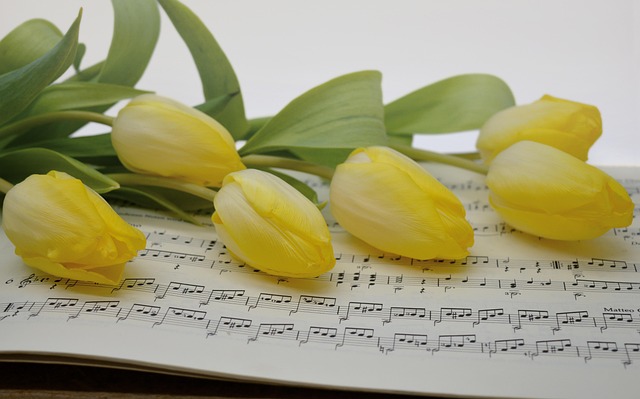 sheet music close-up with musical notation for sight-reading practice